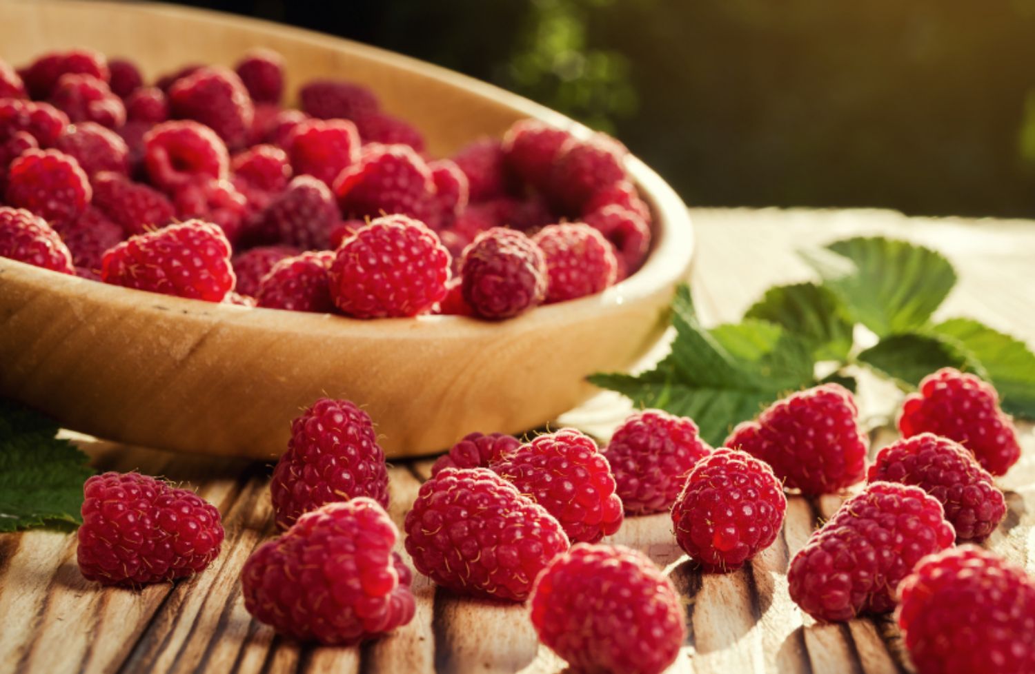 La framboise pour bébé : bienfaits et conseils